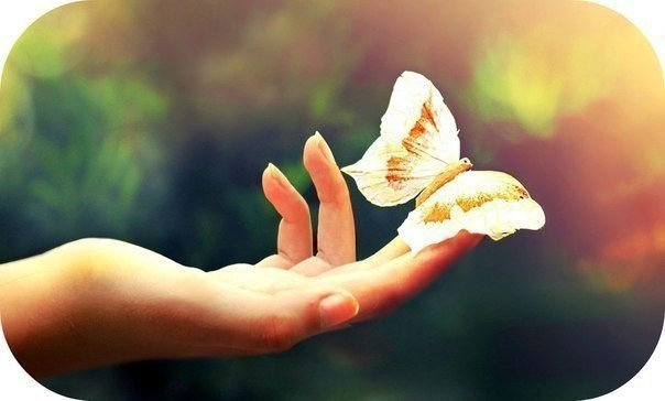     . -    ,    ,    ...