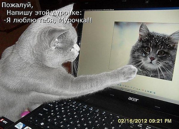        ....,    ,   ...   ...