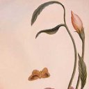 ���� ��������, ������ ��������, 52 ���� - ��������� 13 �������� 2014 � ������ ������ ��������