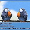 ���� Irmin, ������� - ��������� 1 ������� 2014 � ������ ������ ��������