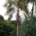  ,  -  4  2014    2014