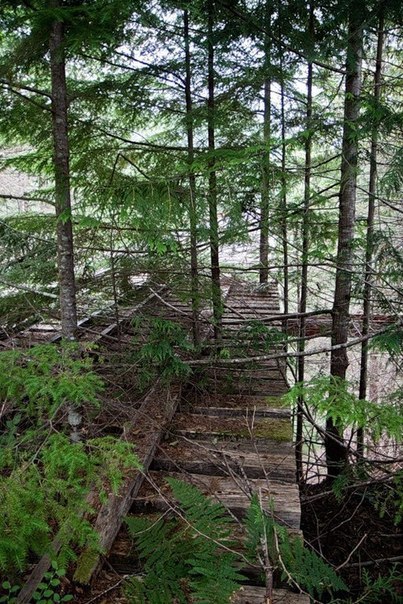      .The Vance Creek Bridge  ,   1929    ... - 9