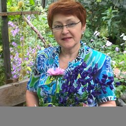 , 63, 