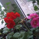 ���� ����, ������, 51 ��� - ��������� 8 ������� 2014 � ������ ���� ���������� ��� 8�