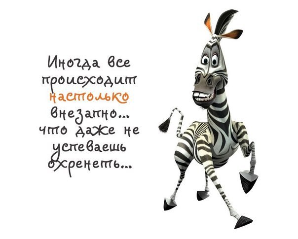   |  |  - 24  2014  22:05