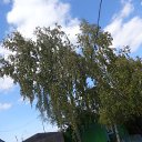 � ���� �������.. �� ������� �����ܻ