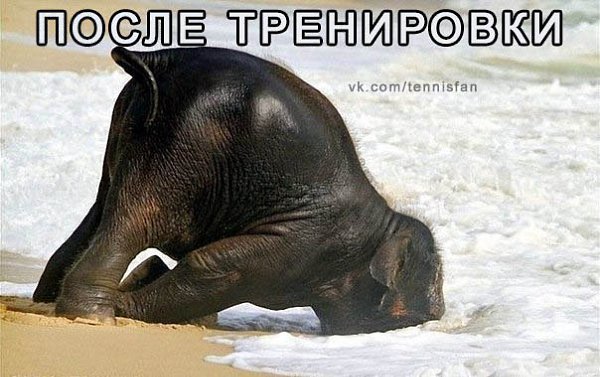 ����� ����������. � ���� ��� �������.)