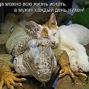 ���� �������, ���������, 57 ��� - ��������� 26 ������ 2014 � ������ ������ ��������