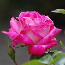 ���� Serg, ������, 66 ��� - ��������� 29 ������ 2014 � ������ ���� ����!!!�