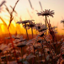 ���� �������, ��������, 48 ��� - ��������� 15 ������� 2014