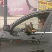 �������, 46 ���, ������