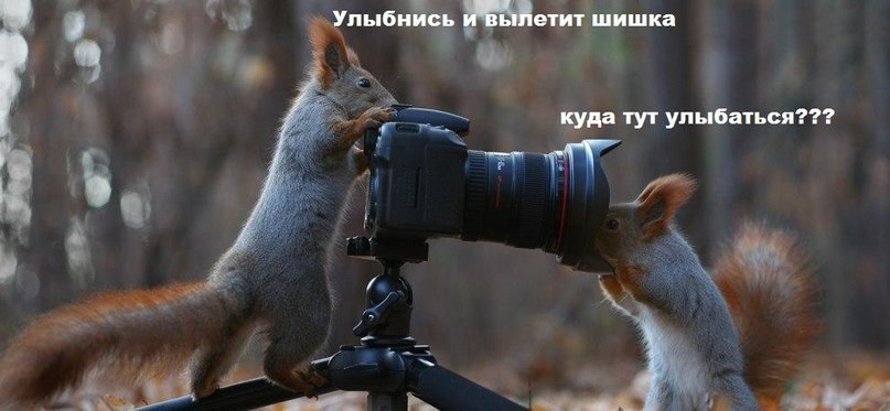   - 1  2014  13:45