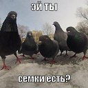 ���� ���������, ���������, 39 ��� - ��������� 7 ������� 2014 � ������ ���� ����������