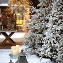 ���� ����, �����-��������� - ��������� 3 ������� 2014 � ������ ������ ��������