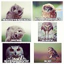 ���� �������, ���������� - ��������� 23 ������� 2014 � ������ ������ ��������