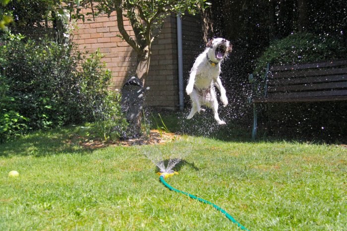  :   .           ... - 7