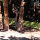 �������������!) �� ������� ���� ����������