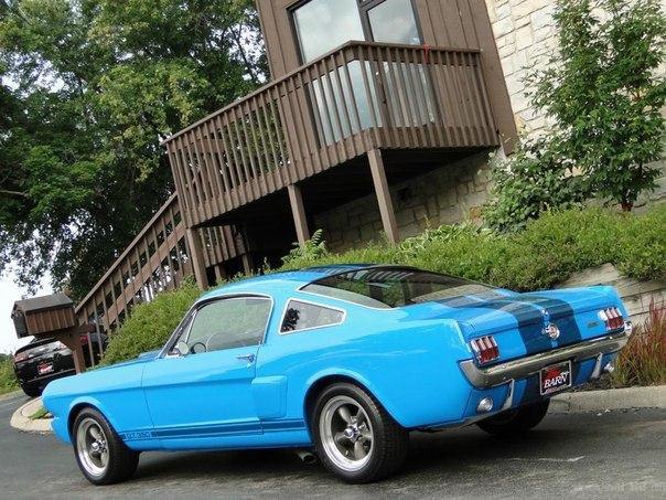 1965 Ford Mustang Shelby GT350 - 2