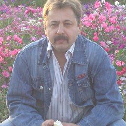 , 62 , 