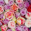 ���� ����, �����-��������� - ��������� 20 �������� 2014 � ������ ������ ��������