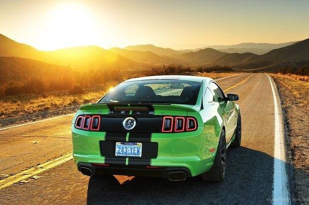 Ford Mustang Shelby GT350 - 8