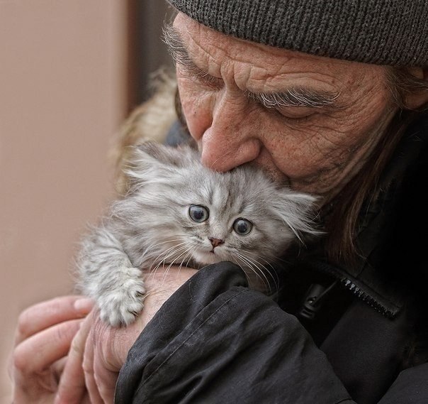 ������, ��� ����..