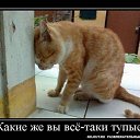 ���� �������, ����� - ��������� 12 ������� 2014 � ������ ���� ����������