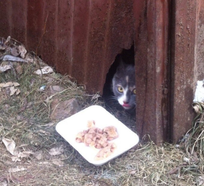  #_.,  ( ).        ... - 2