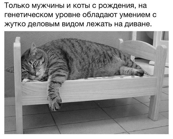  - 23  2014  04:44