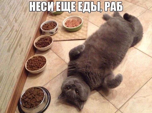    :-) - 4  2014  07:02