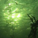 ���� ������, �����-���������, 60 ��� - ��������� 30 �������� 2014 � ������ ���� ����������