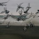   49 Antuanetta,  -  27  2014     .