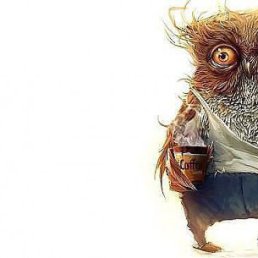 ����, ������������, 54 ����