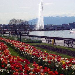 Lac Leman
