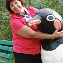 ���� ����� ����� 2014� �� ������� �������