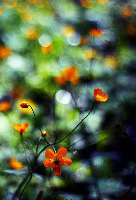    ,       ,  ,       ...