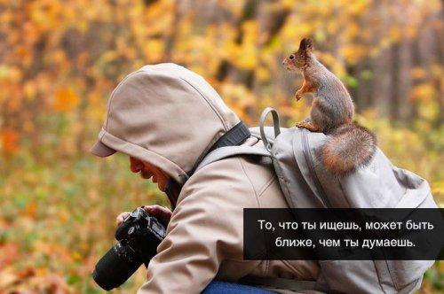 �������������� �� ���: fotostrana.ru/mix-humor