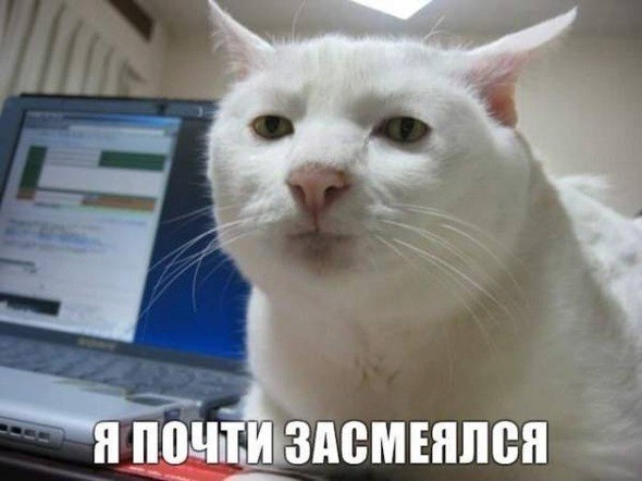       - 30  2014  11:31