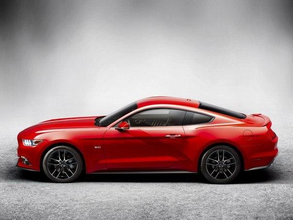 Mustang GT Fastback Coupe.5.0L V8: 420 .. : 529 :   ... - 5