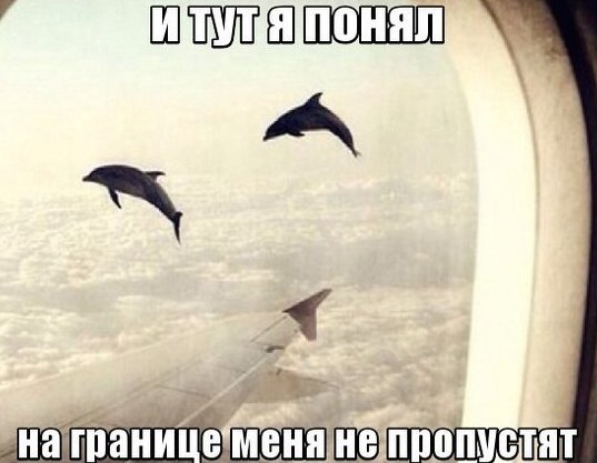    :D - 11  2014  18:27