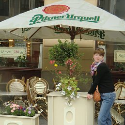 ����, ������, 43 ����