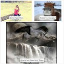 ���� ����, ������, 24 ���� - ��������� 8 �������� 2014 � ������ ������ ��������