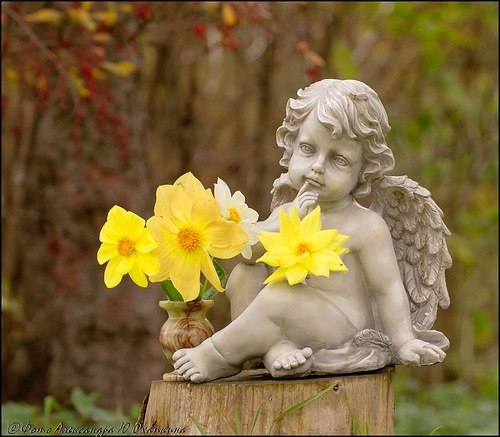  ,   , 29   ,  .  - , , , ...