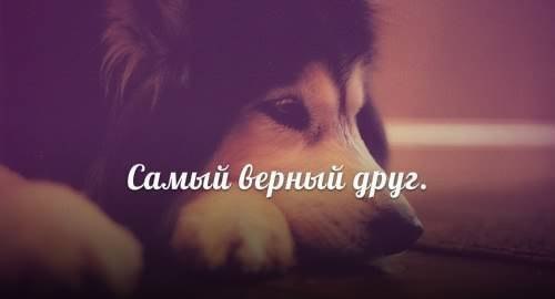 Just be strong. - 17  2014  06:36