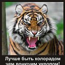  ,  -  28  2014    