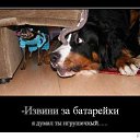 ���� ���� ������, ������, 59 ��� - ��������� 16 ������ 2014 � ������ ������ ��������