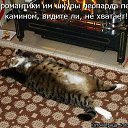 ���� �����, �������� - ��������� 1 ������ 2014 � ������ ������ ��������