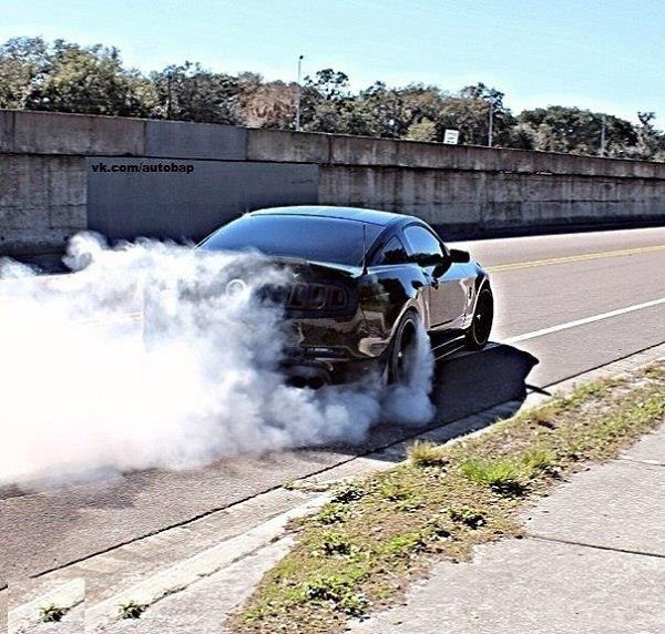 2014 Shelby GT500. - 6