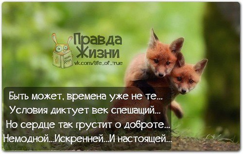  - 1  2014  07:51