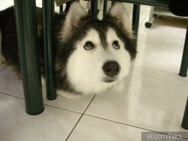   ,    ,     ,   . - 2